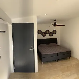 Gobernador Bonaire Appartement Playa